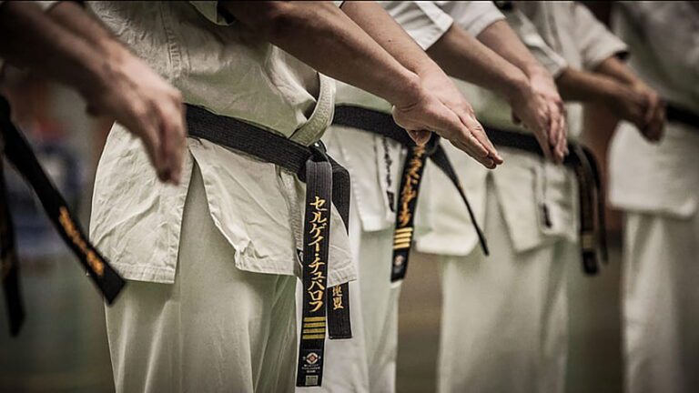 Kyokushin Katas